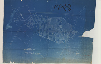 overview